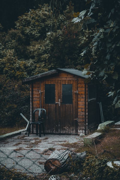 Wooden Shed under Trees