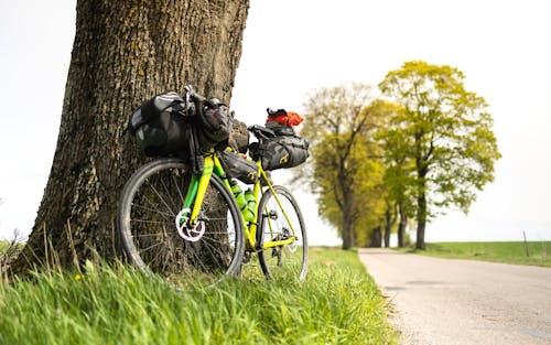 Free A bicycle with gear rests against a tree on a scenic road, ideal for bikepacking enthusiasts. Stock Photo