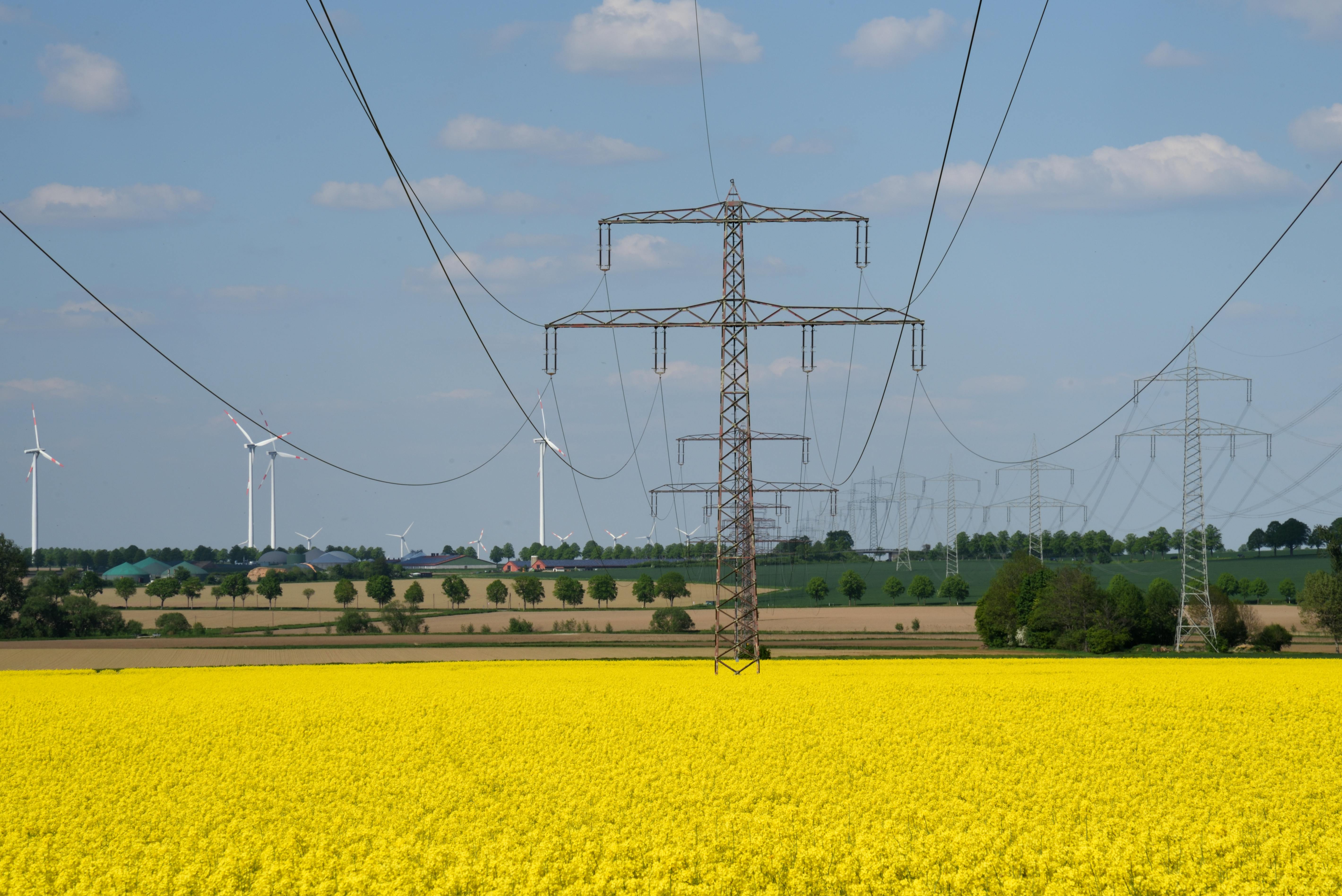 How to Lower Your Electricity Bill This Summer