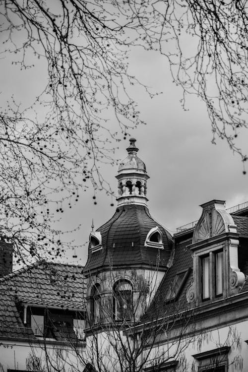 Black and White Photo of Tree Branches and Part of a Building with a Little Tower on the Roof