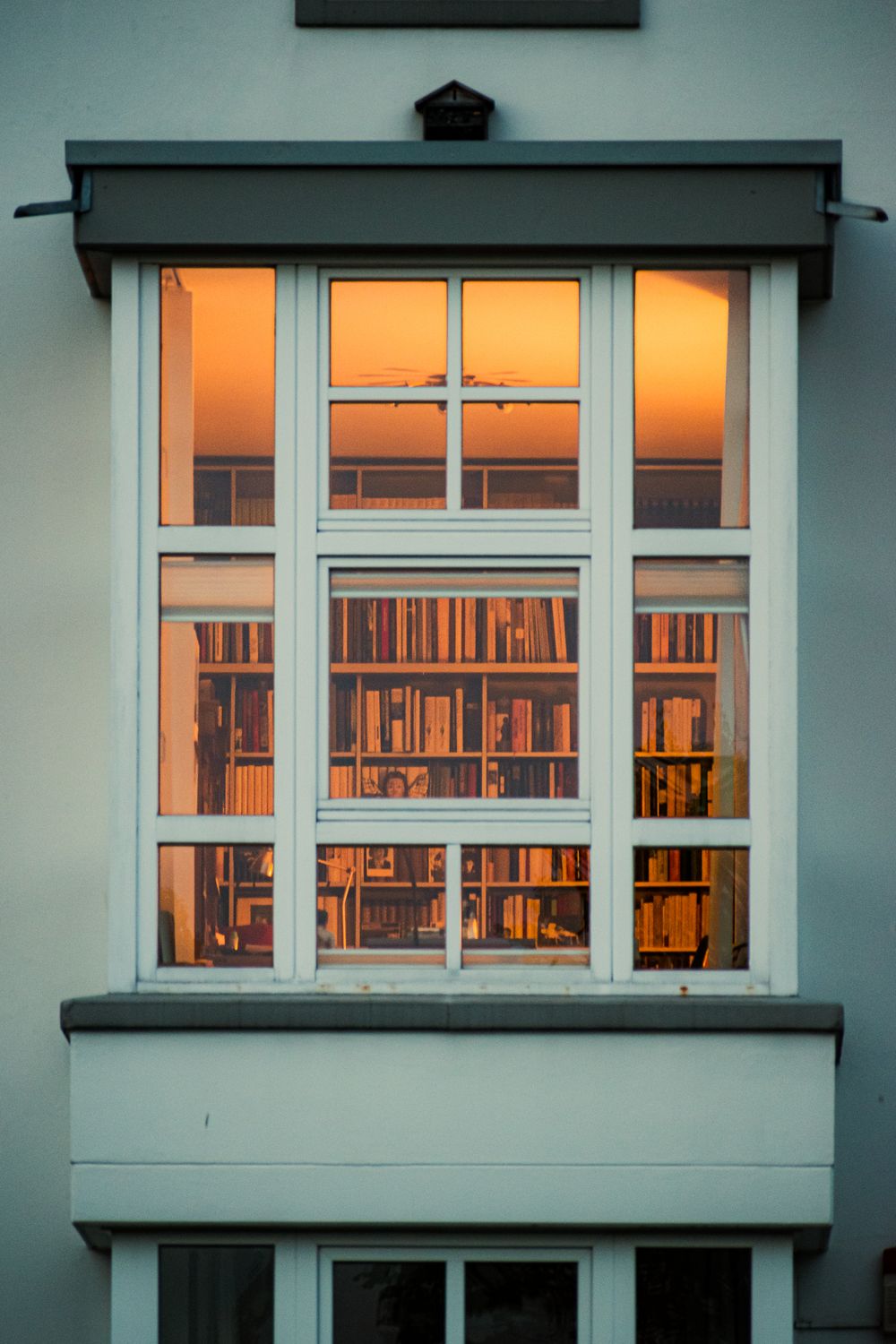 Books behind Library Windows · Free Stock Photo