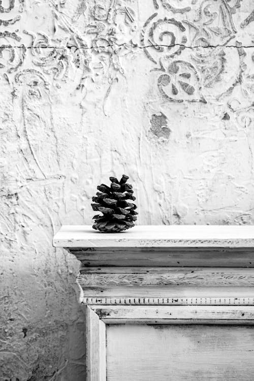 Black and White Photo of a Cone on a White Wooden Furniture