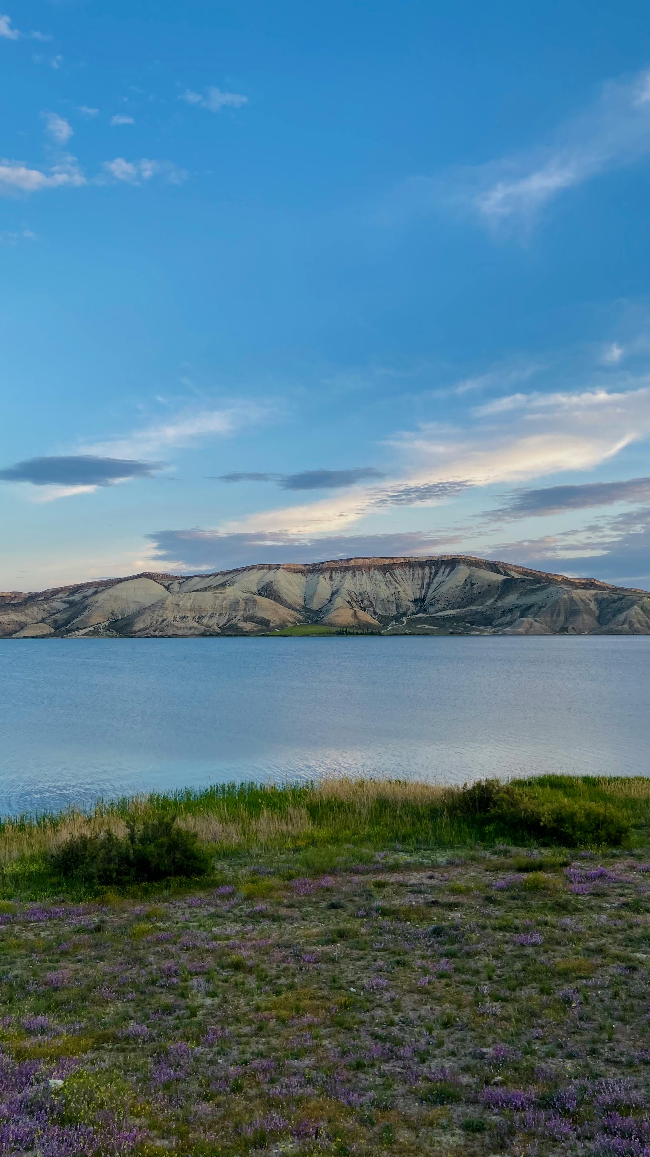 Heather Wallpaper Photos, Download The BEST Free Heather Wallpaper