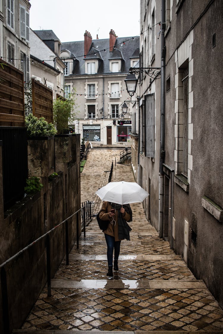 Woman Walking With Umbrella In Town