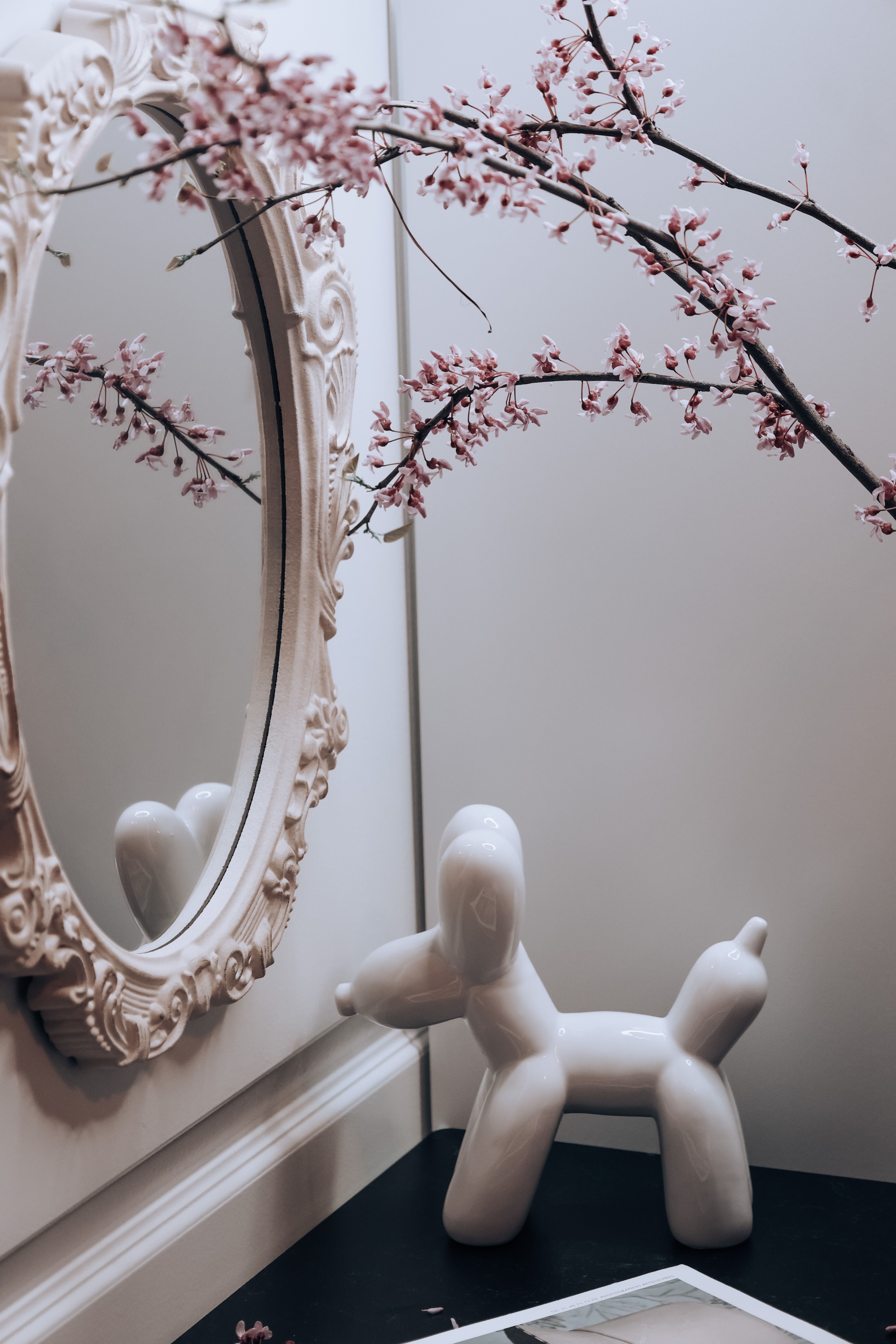 Branches with Blossoms by Mirror · Free Stock Photo