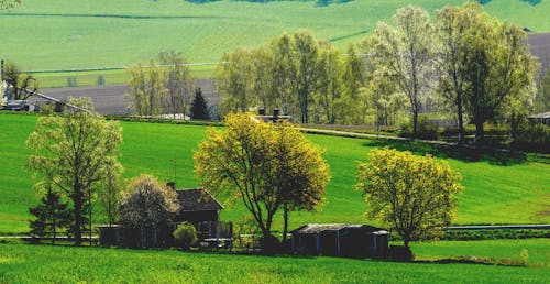 Houses and Green Fields in the Countryside 