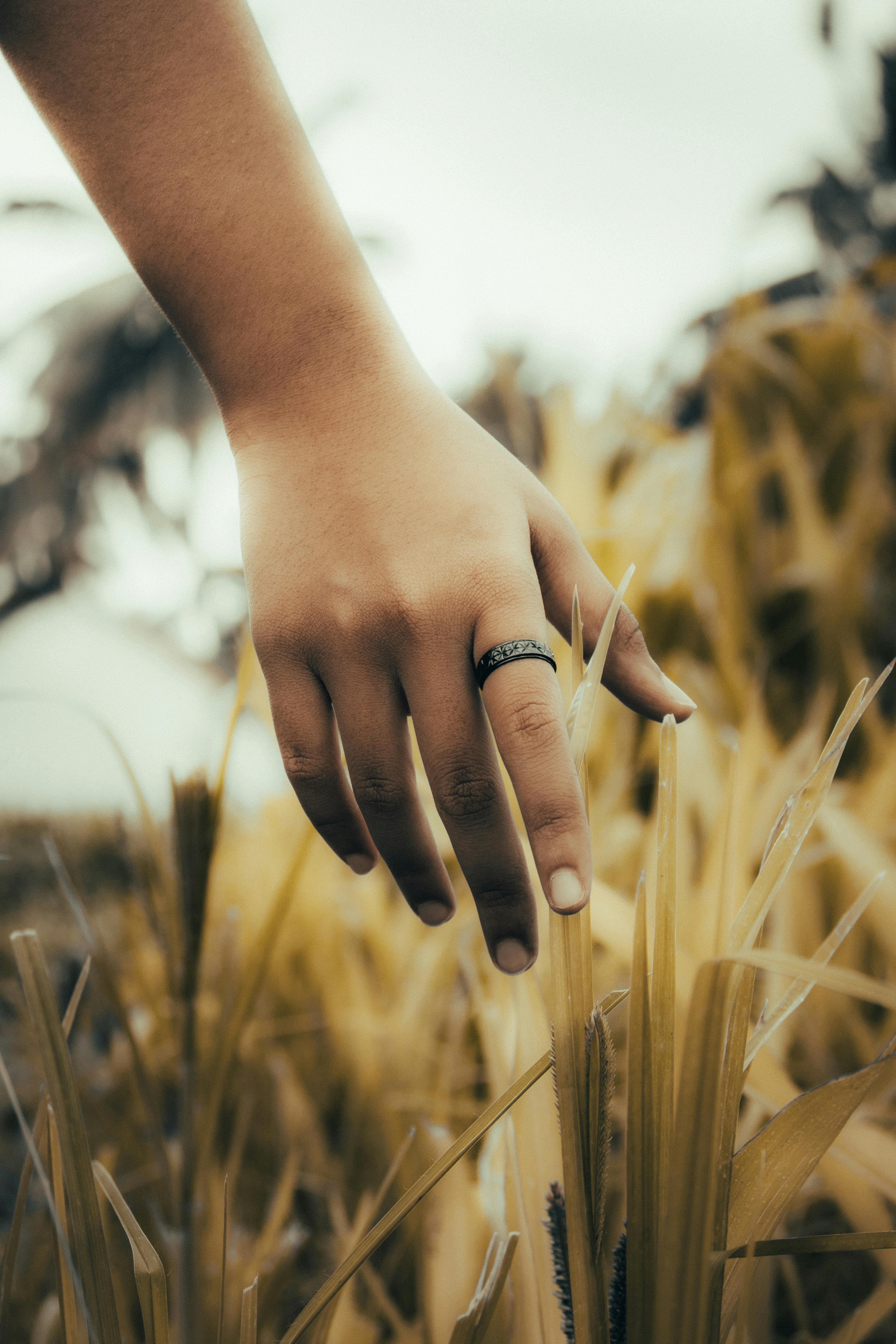 female hand, touch, grass Stock Photo