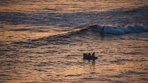 Silhouettes of People in a Boat and Surfing near the Shore at Sunset 