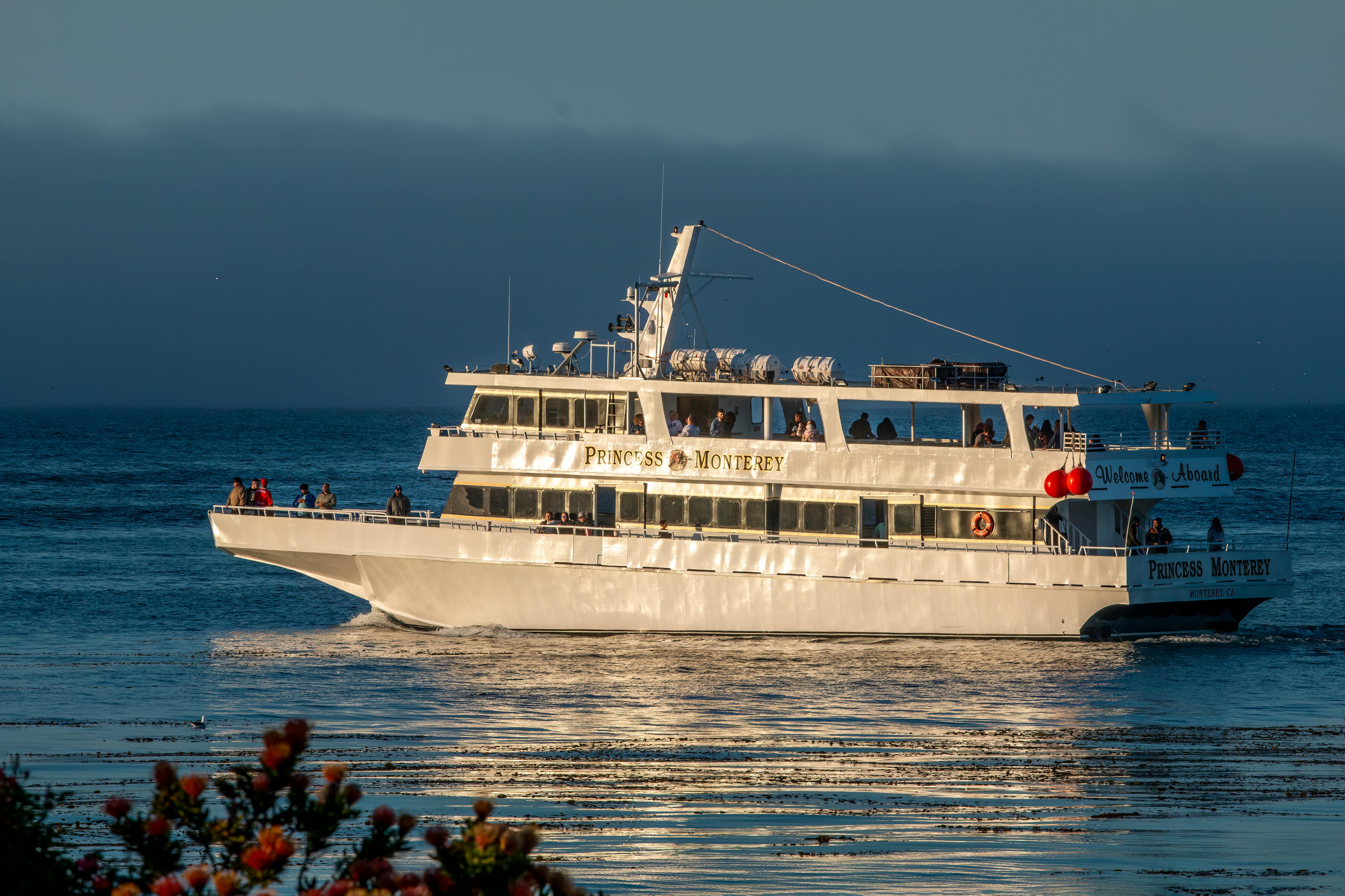 Aggregate more than 123 monterey whale watching season latest