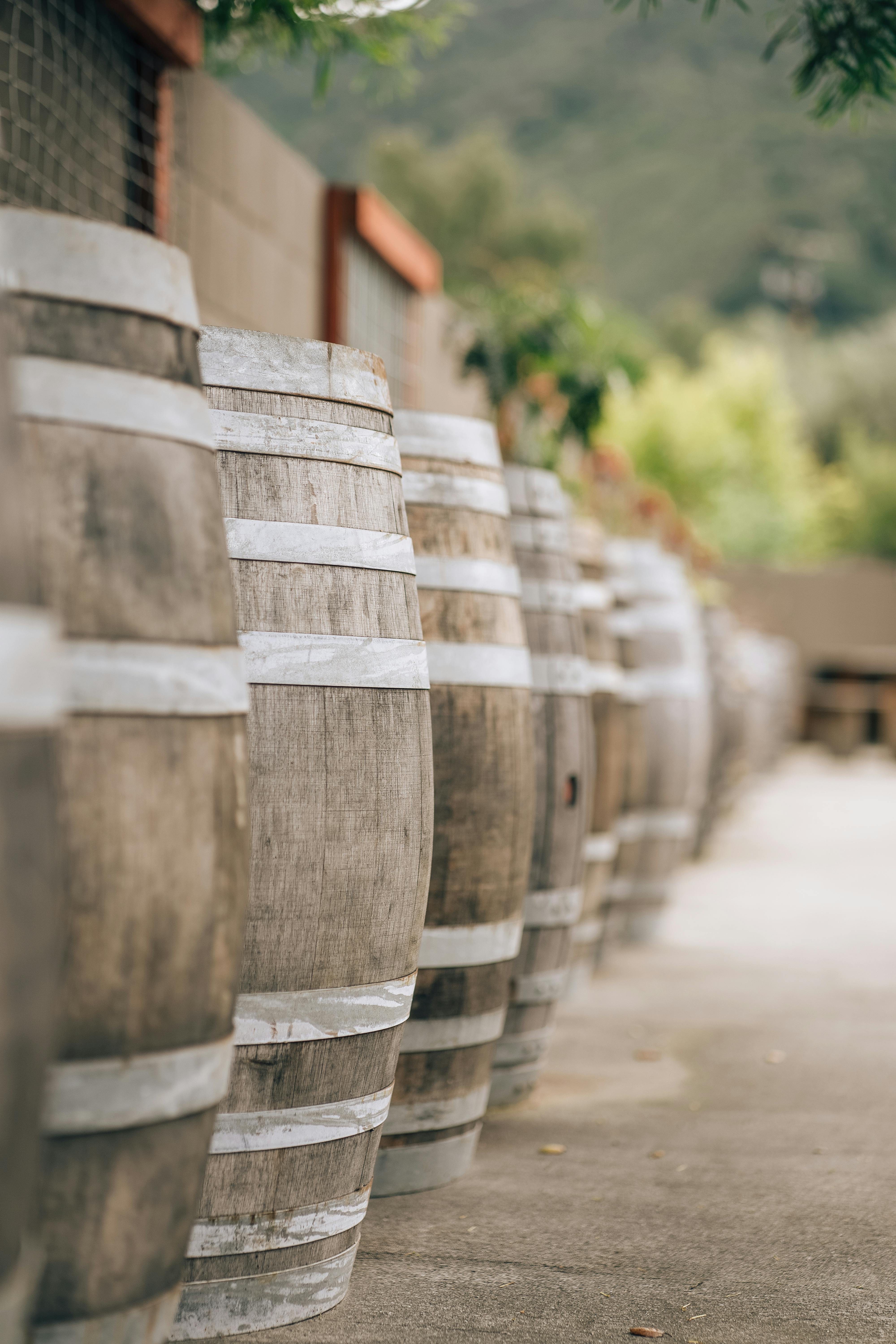 I segreti del vino di Barolo: il re dei vini