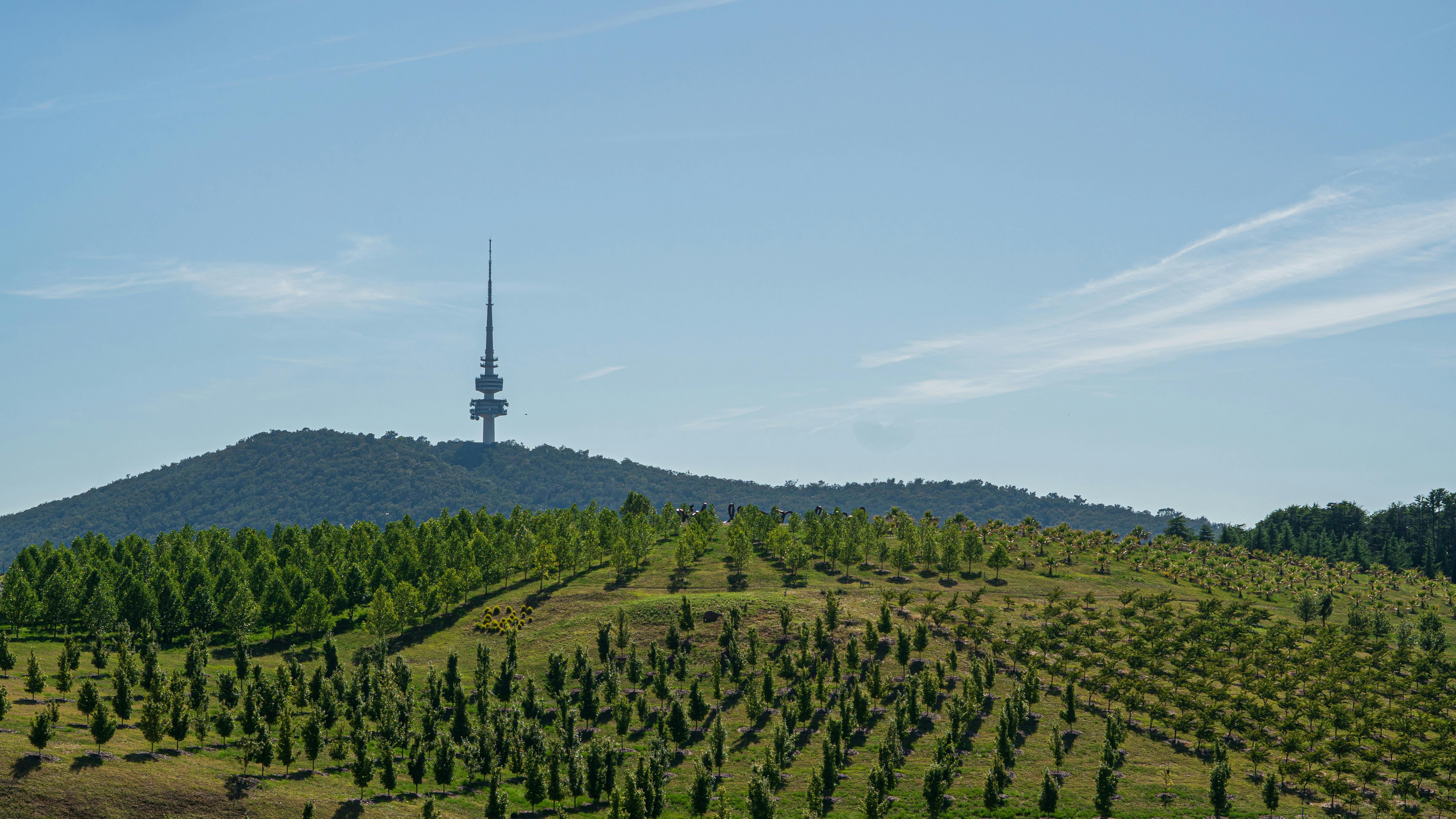 Beautiful view of lush fields with Telstra Tower in Canberra, Australia. Vibrant and serene.