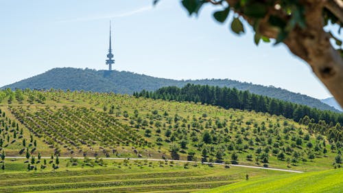 Free stock photo of arboretum, architectural building, landscape