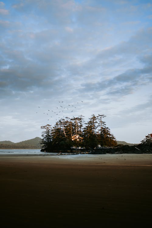 Бесплатное стоковое фото с вертикальный выстрел, дикий пляж, живописное небо