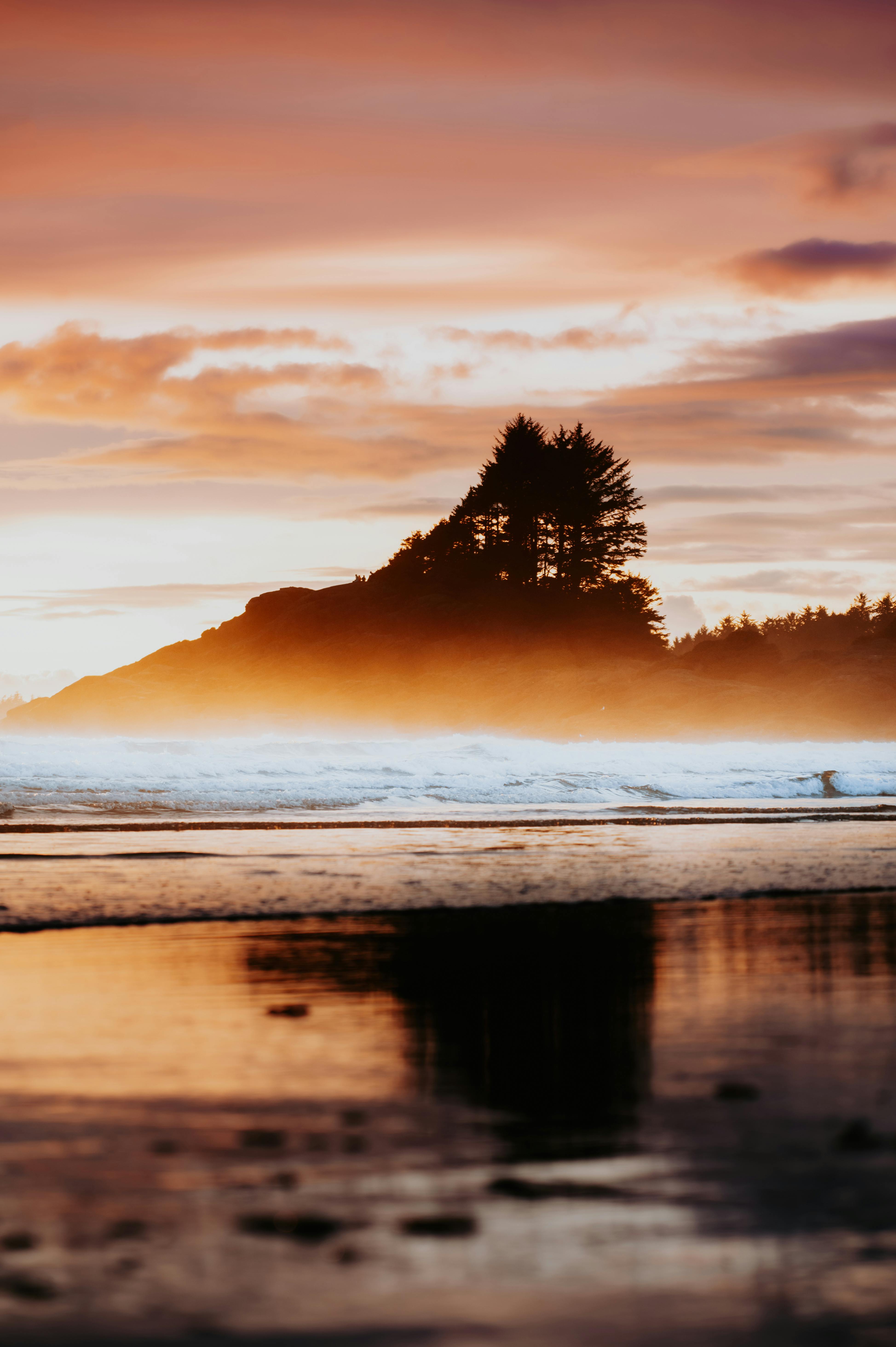A serene coastal scene with misty waves, silhouetted trees, and a vibrant sunset sky.