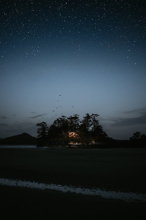 Free Picture of a Night Landscape Stock Photo