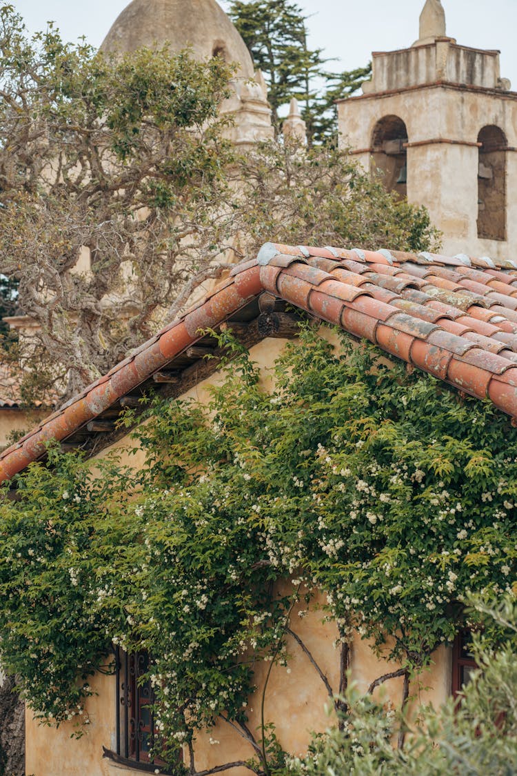 Carmel Mission Rooftop View