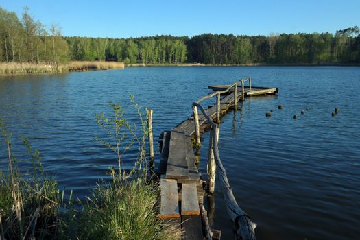 Tranquil summer scene of a wooden pier extending into a calm lake surrounded by lush green forest.