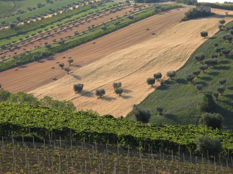 Free stock photo of abruzzi, adriatica, alba