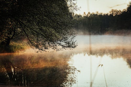 Fog over Lake