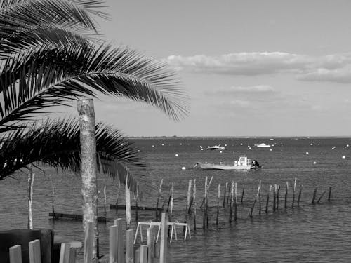 Wooden Poles on Sea Shore