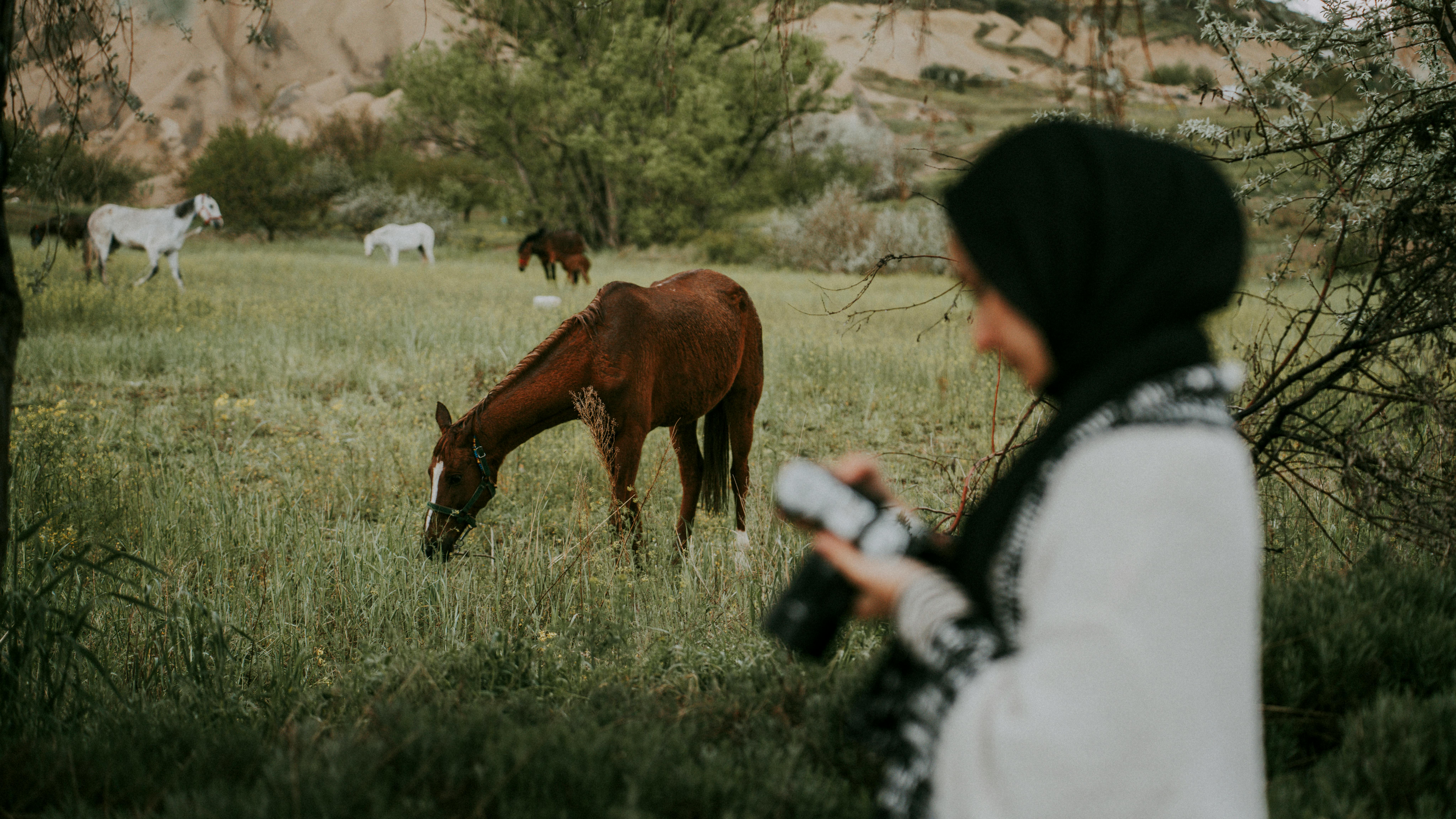 Where To Ride Horses In The Turkish Countryside: Ultimate Guide 5 What to Expect on a Horseback Riding Tour Through Turkey’s Picturesque Countryside