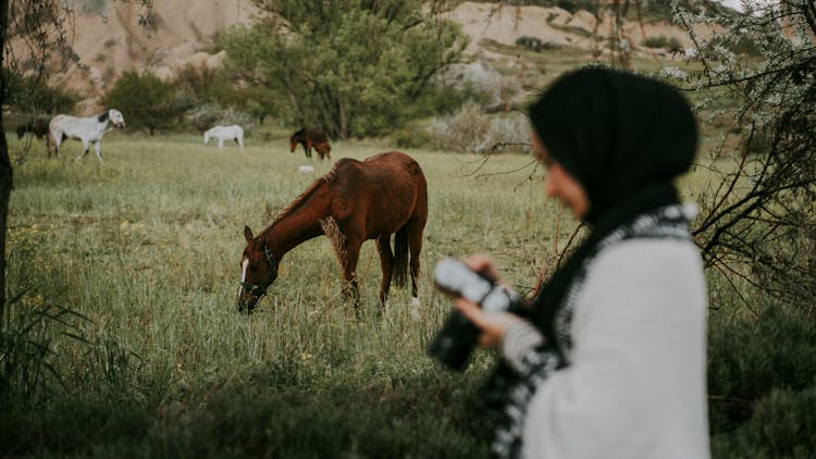 A Woman Taking A Photo Of A Horse