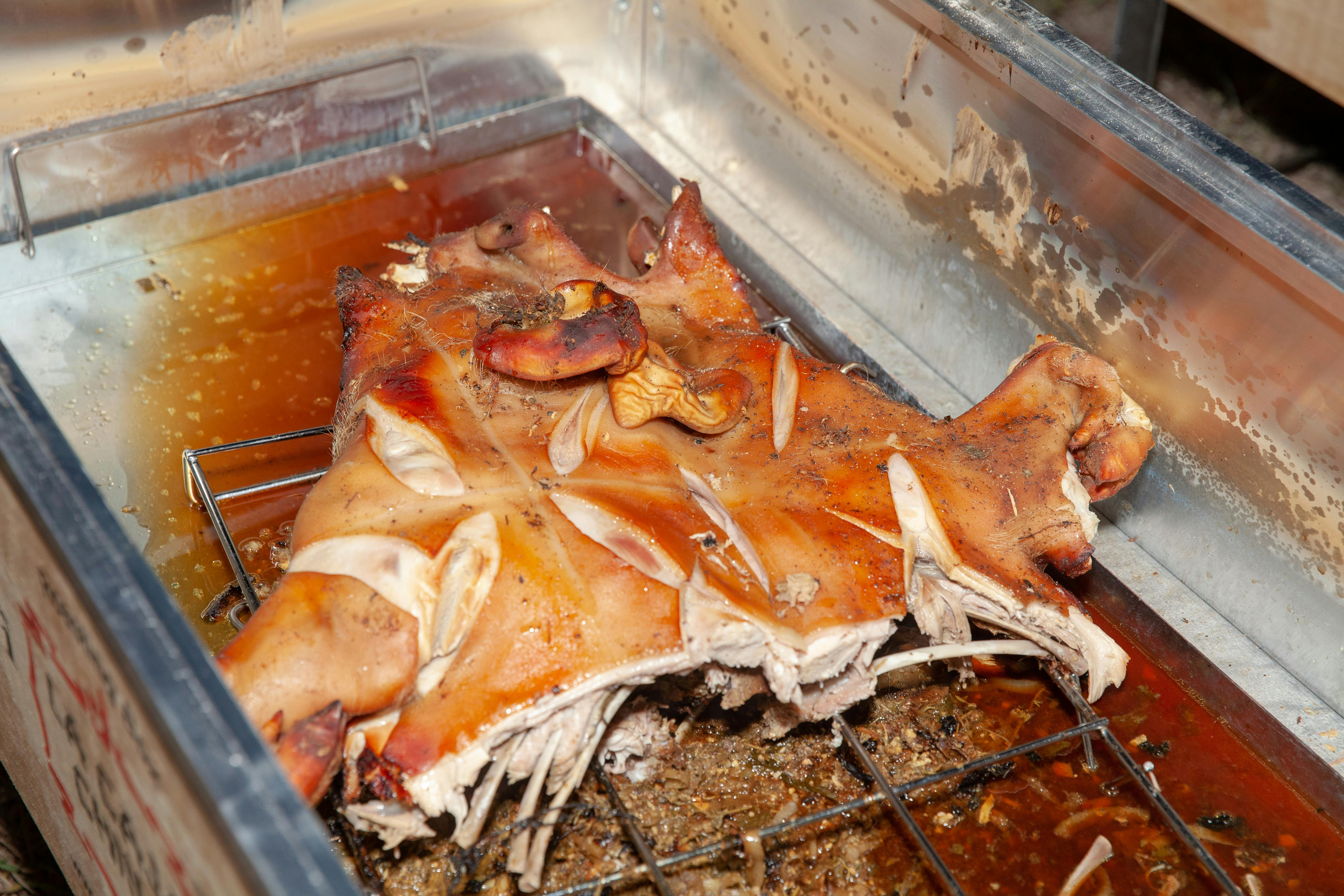 Free stock photo of Roast Pig on the Grill, swine