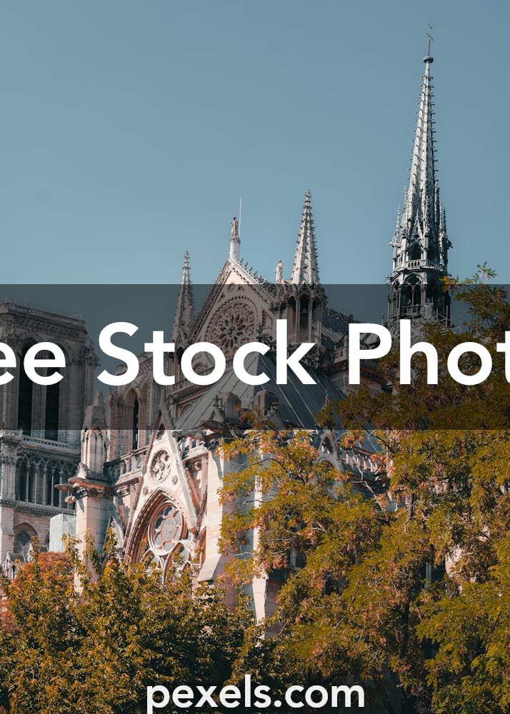 Notre Dame Qb Depth Chart Photos, Download The BEST Free Notre Dame Qb