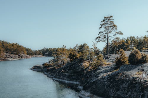 岩石, 川, 晴天の無料の写真素材