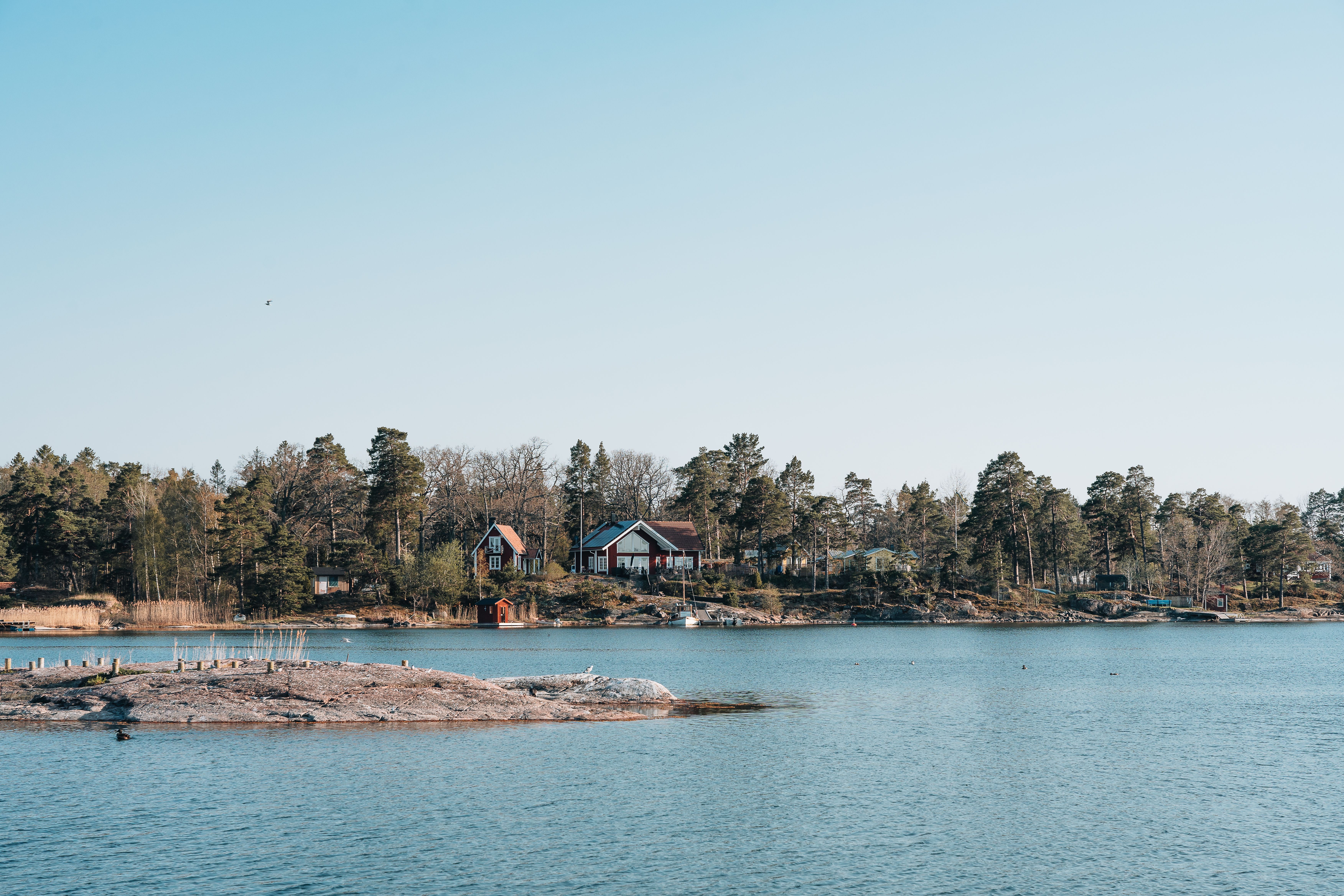 View of serene lakeside houses surrounded by forests and clear water, perfect for nature lovers.