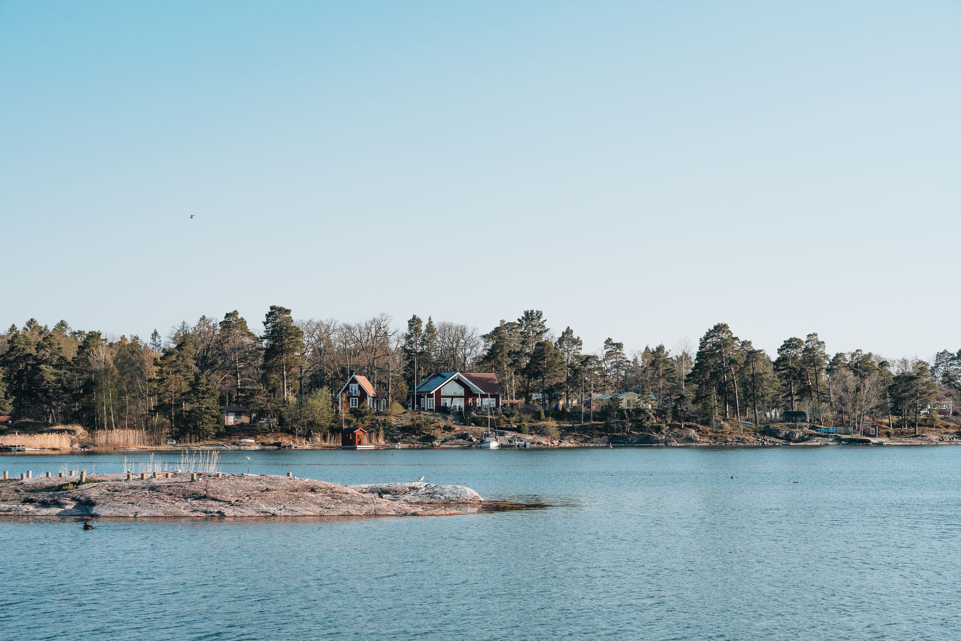 View of serene lakeside houses surrounded by forests and clear water, perfect for nature lovers.