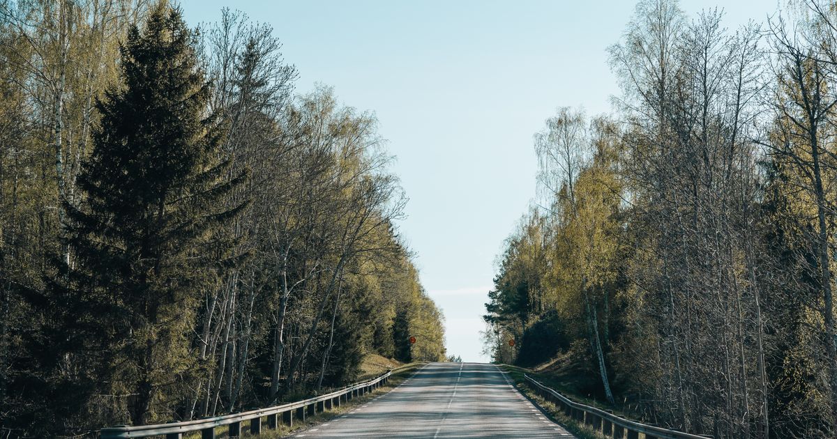 森に囲まれた道路のイメージ写真
