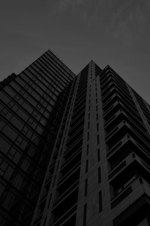 Black and White Low Angle Shot of a Skyscraper