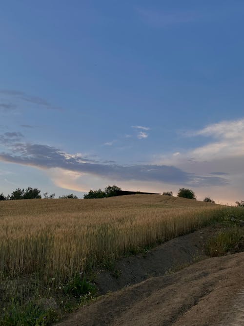 Imagine de stoc gratuită din natură, naturaleza