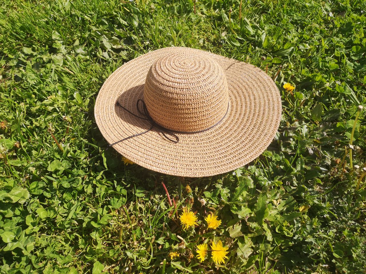 a straw hat sits on a vibrant green grass field adorned with dandelion