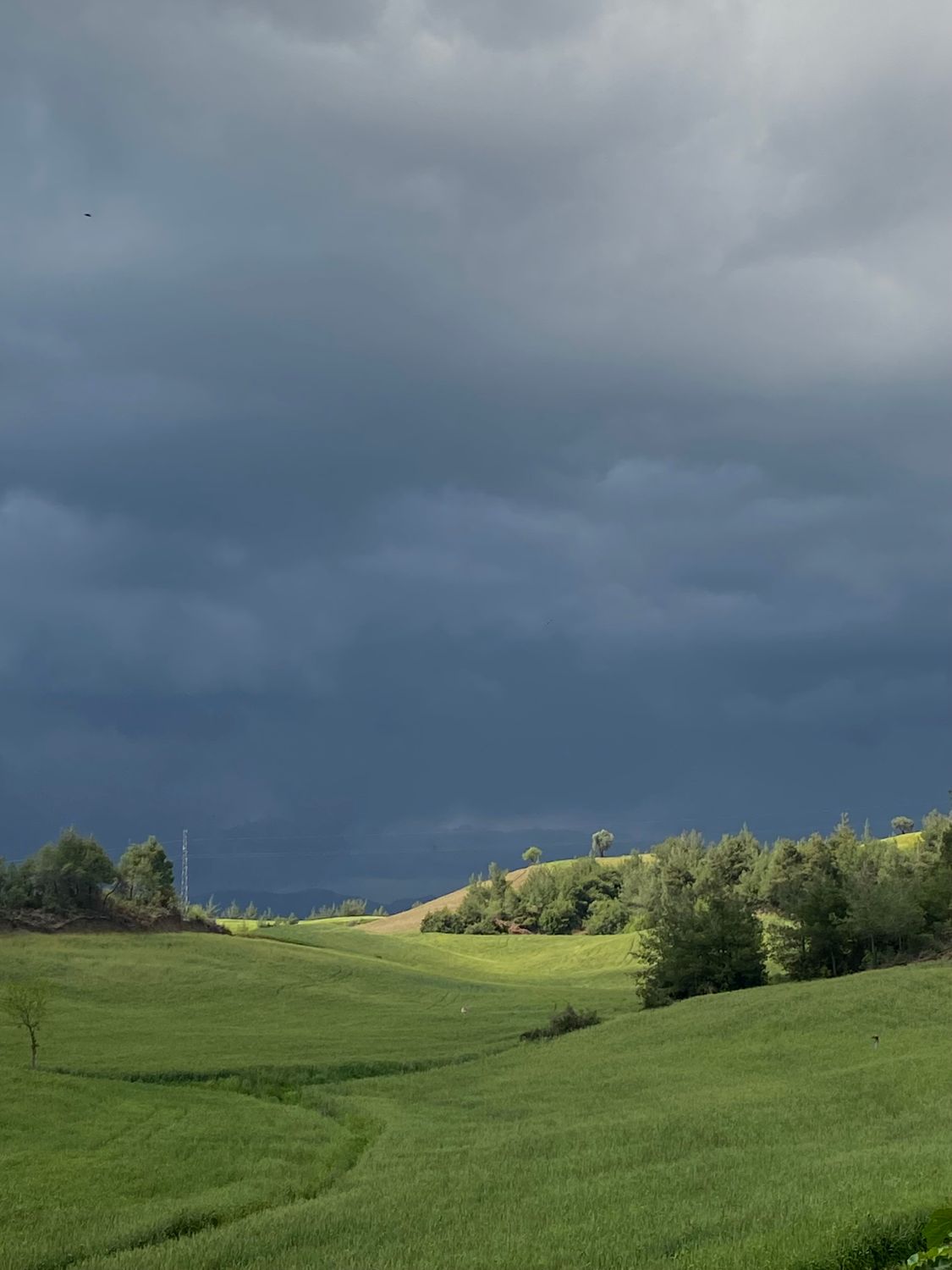 Grassland Raining Rain Clouds over Grassland · Free Stock Photo