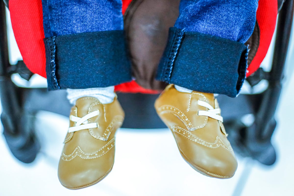 spider control nassau south shore pest control