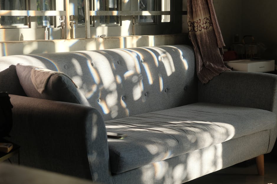Modern gray sofa in a sunlit living room showcasing elegant interior design.
