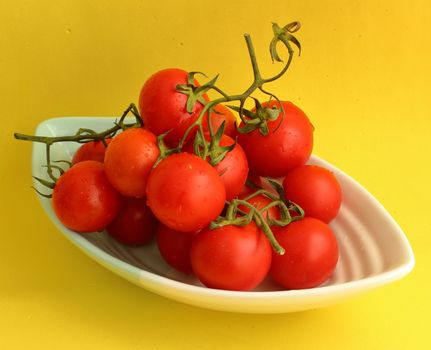 Close-up of vibrant red tomatoes in a white bowl against a striking yellow background.