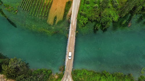 Car on Bridge on River