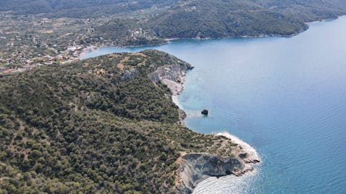 ağaçlar, deniz, deniz kıyısı içeren Ücretsiz stok fotoğraf