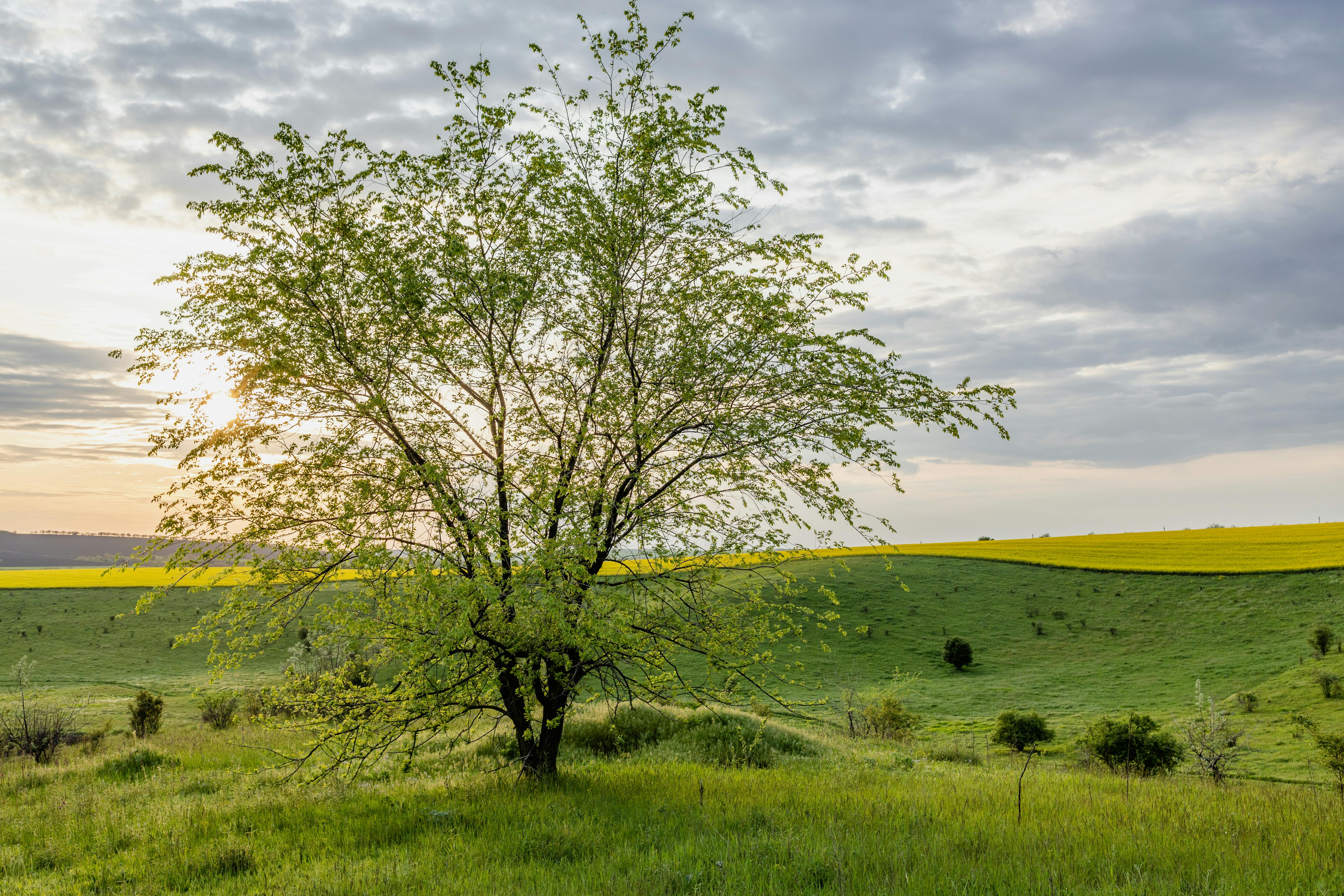 Helsinki is its capital. Its official languages are Finnish and Swedish, and it's known for its beautiful lakes. What country am I in?