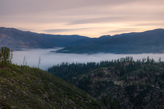 黎明时分，雾气笼罩着宁静的山谷，在此可欣赏森林与连绵起伏的山丘的美景