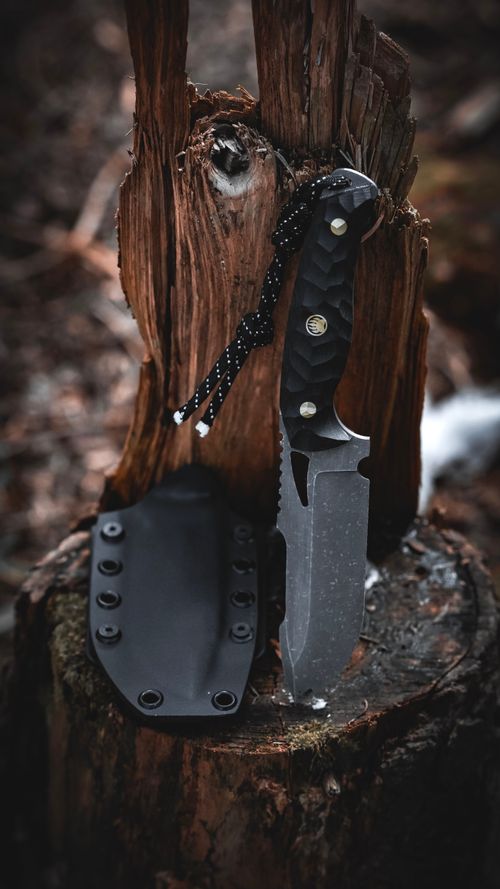 Free Close-up photo of a knife embedded in a tree stump in Bolu, Türkiye, surrounded by forest. Stock Photo