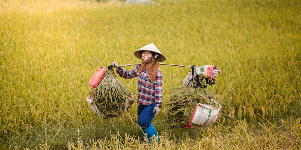 Phòng thờ (vị trí) - Ý nghĩa của không gian linh thiêng trong ngôi nhà