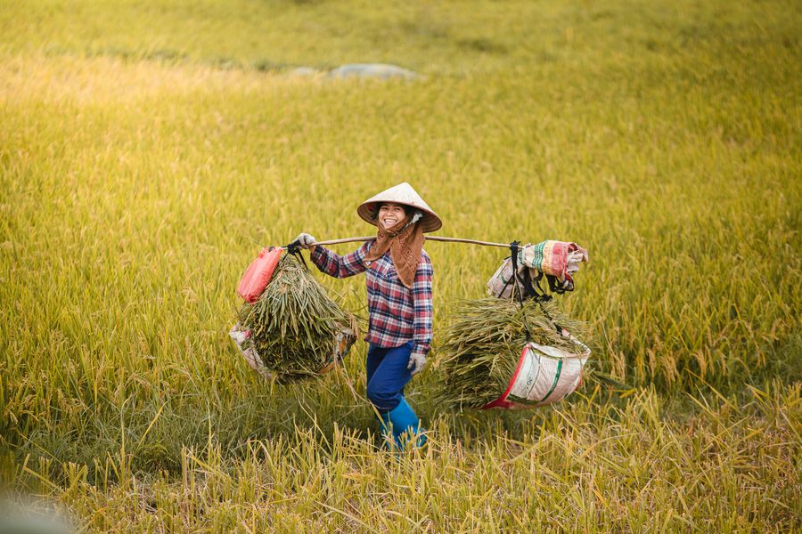 Nông nghiệp