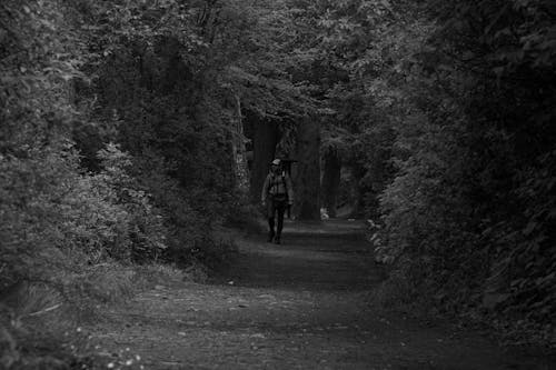 Man Hiking in Forest in Black and White