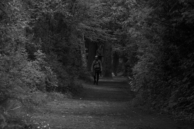 Man Hiking In Forest In Black And White