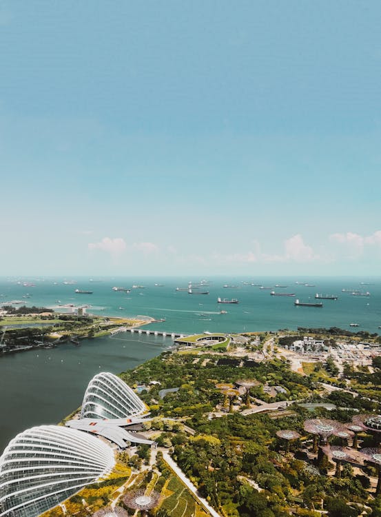 Aerial view of Singapore coastline with Gardens by the Bay and ships in the distance.