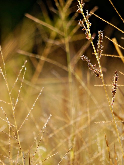Free Summer Stock Photo
